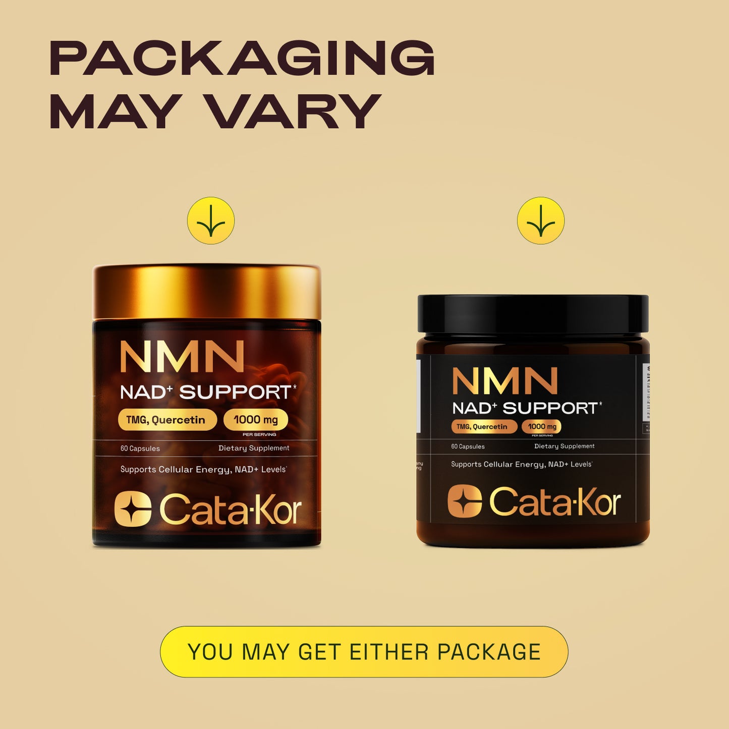 Cata-Kor NMN Longevity Support & Beauty Blend (CA AKG, Hyaluronic Acid & Biotin)