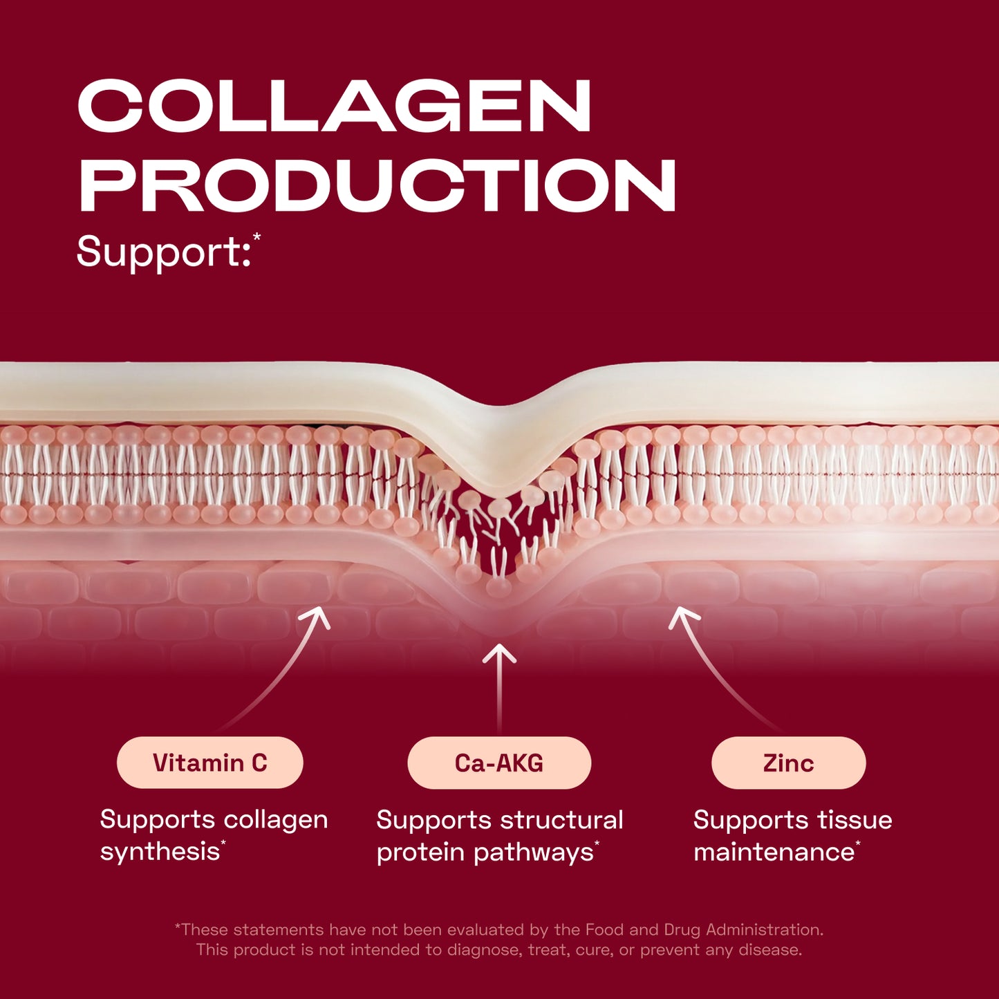 Cata-Kor Skin, Hair & Nails Supplement – Ca AKG, MSM, Hyaluronic Acid, Biotin