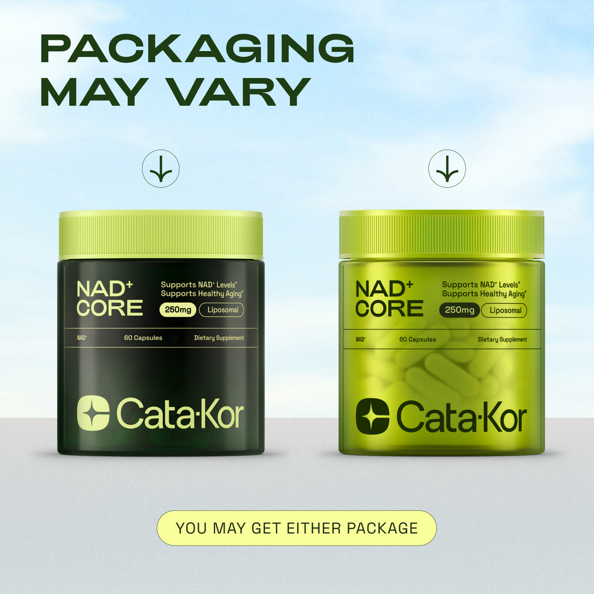 250mg Liposomal NAD+ Supplement - NMN Alternative – Cata-Kor
