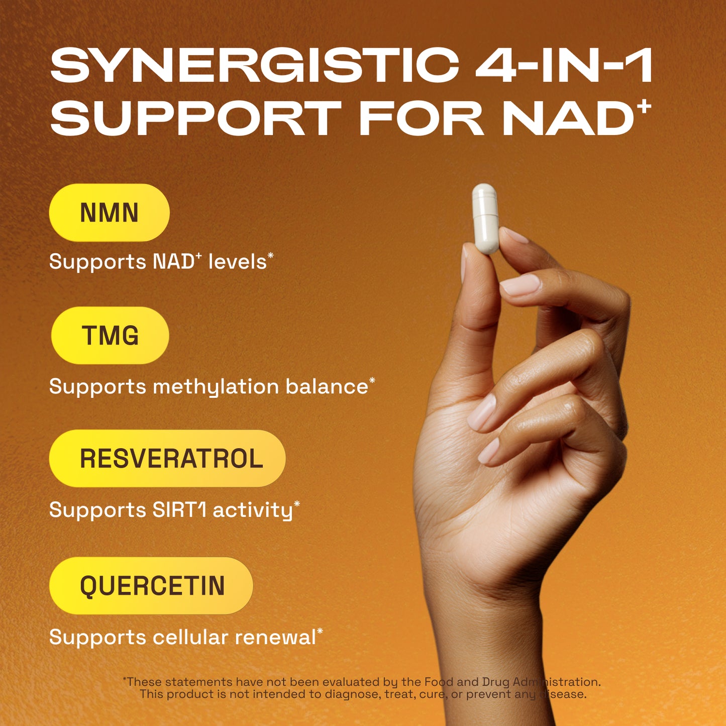 Cata-Kor NMN Supplement, Quercetin, TMG, Resveratrol – Supports Cellular Energy & NAD+ Levels