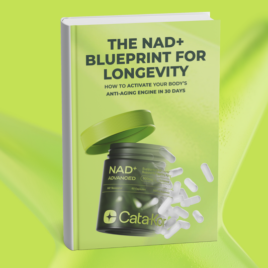 The NAD+ Blueprint For Longevity eBook